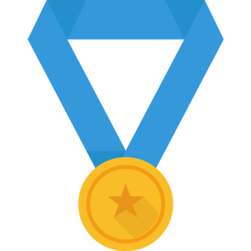 Medal 512.png