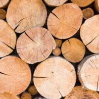 Tree Removals | Westreeservice.com.jpg