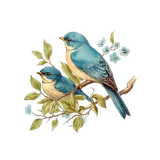 b109c996f23d71e8c627b6b59e4faa36 removebg preview.png