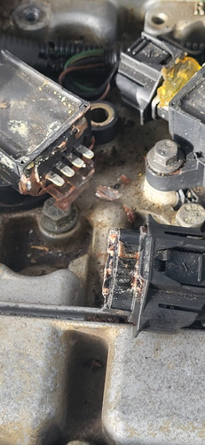 Afbeelding van WhatsApp op 2025 10 27 om 11.31.02 db69e277