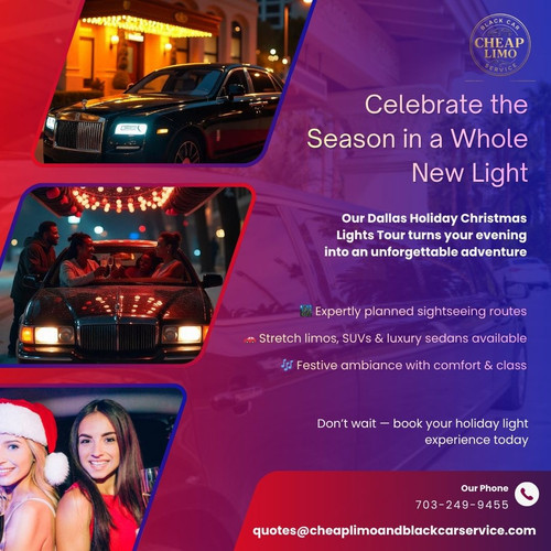Dallas Holiday Christmas Lights Tour Experience.jpg