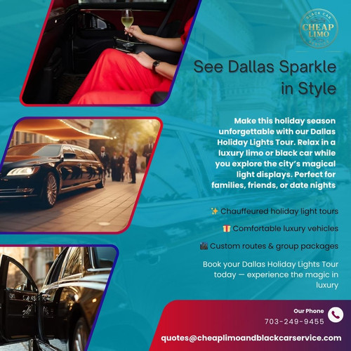 Dallas Holiday Lights Tour Experience.jpg