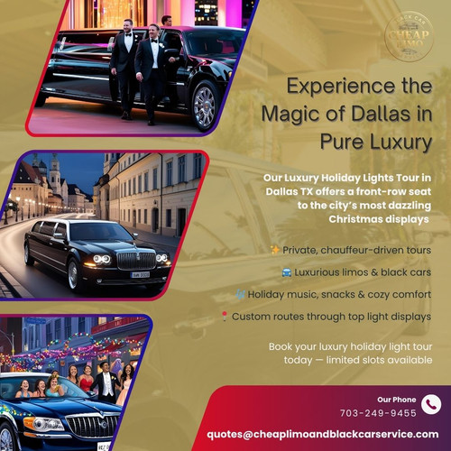 Luxury Holiday Lights Tour Dallas TX.jpg