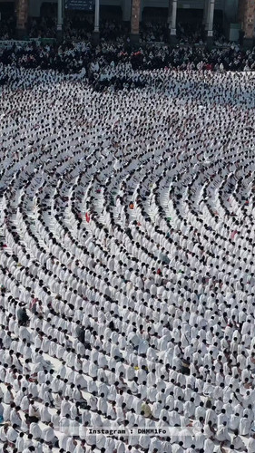 BkT4fhJGo8c MUFy.jpg