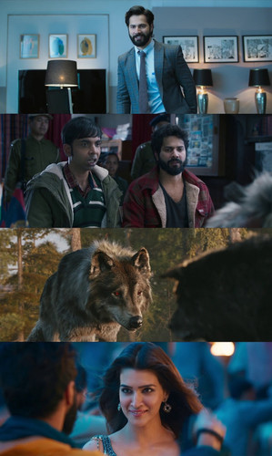 InCollage 20251027 204616342.jpg