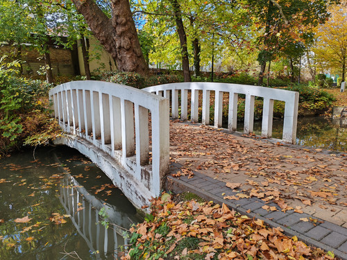 IMG 20251026 121428.jpg