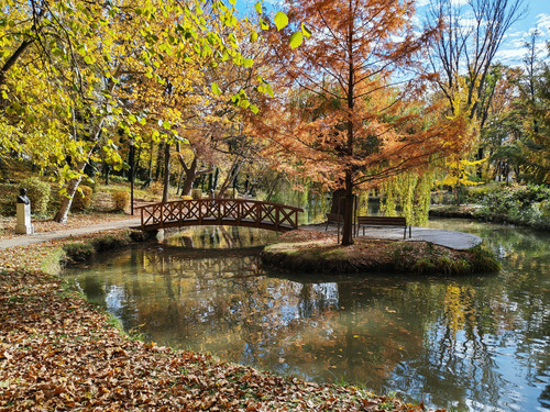 IMG 20251026 121410.jpg