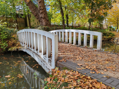 IMG 20251026 121427.jpg