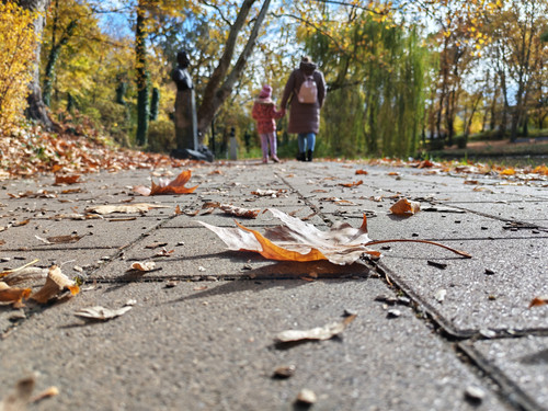 IMG 20251026 121814.jpg