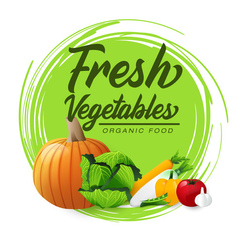 Modern Vector Illustration Vegetables Design.jpg
