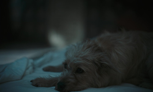 vlcsnap 2025 09 18 01h33m51s012.jpg