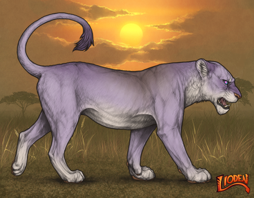 lioden wardrobe (1).png