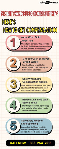 Spirit Canceled Your Flight Here’s How to Get Compensation.jpg