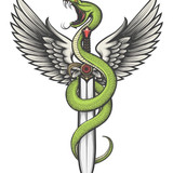 Flying Snakes emblem (underground racing club)