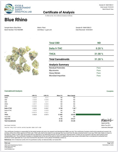 Blue Rhino.jpg