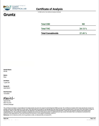 Gruntz.jpg