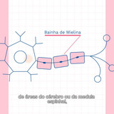 540636241 573133669122701 8233405808816886829 n.jpg? nc cat=105&amp;ccb=1 7&amp; nc sid=a27664&amp; nc ohc=HFBYT