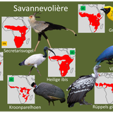 Savannevolière