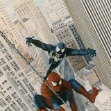 Spider-Man &amp; Venom