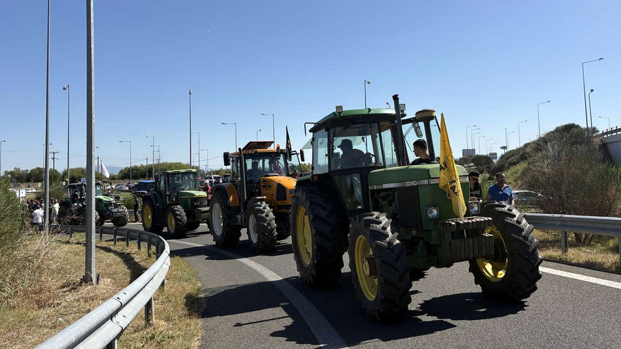 agrotes e65 04