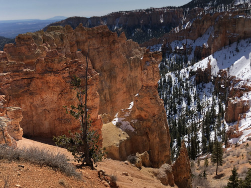 Bryce Canyon National Park.jpg