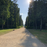 IMG 1743