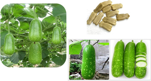 71HcWZ2C4AL. AC SL1500 .jpg