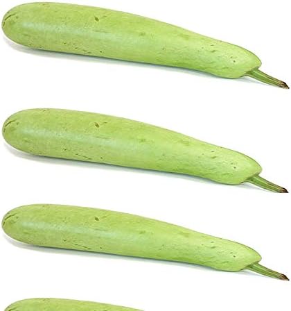 41wFgv1VZoL. AC .jpg