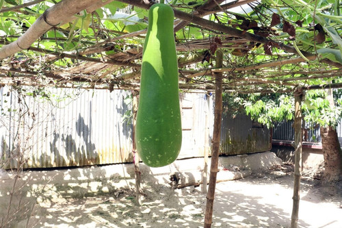 71cRyrbpWRL. SL1300 .jpg