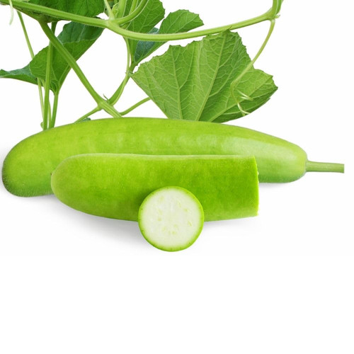 51gCkKMI2rL. SL1000 .jpg