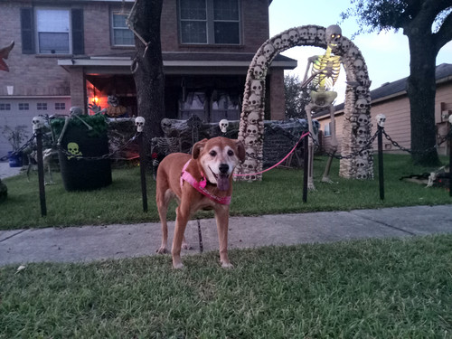 20250917 194936 (1).jpg