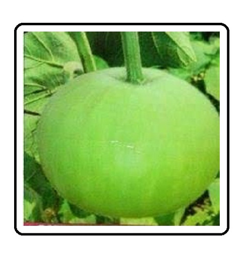 2a.jpg