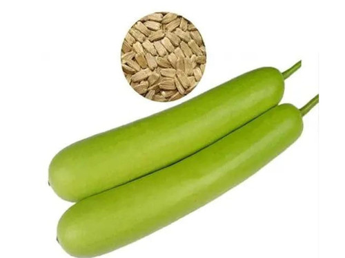 61FxGwrOc L. SL1500 .jpg