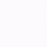 Untitled5.gif
