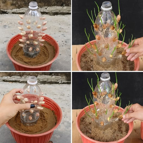 535427463 122211177296062092 2873574377538521632 n.jpg?stp=dst jpg p526x296 tt6& nc cat=100&ccb=1 7&.jpg