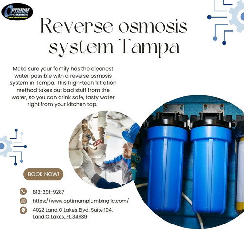 The Best Reverse Osmosis Systems for Your Tampa Home.jpg