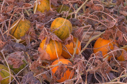 81vo7YLbsVL. SL1500 .jpg