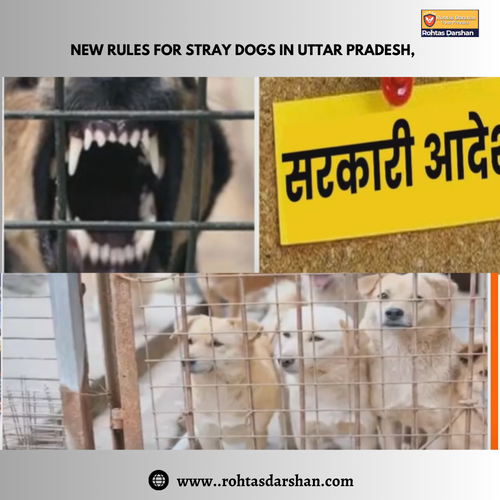 New rules for stray dogs in Uttar Pradesh,.png