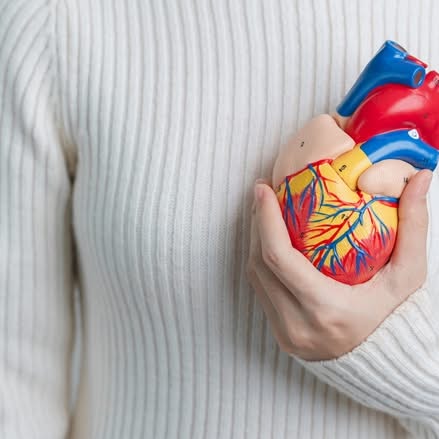 4560087892122148032?url=https%3a%2f%2fvidasaudavel.einstein.br%2fwp content%2fuploads%2f2024%2f10%2f.jpg