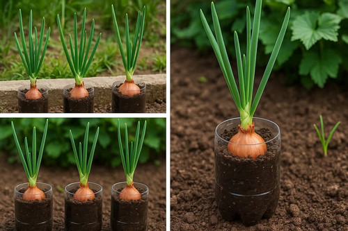 496793206 122200858454062092 930688781028286578 n.jpg?stp=dst jpg p180x540 tt6& nc cat=106&ccb=1 7& .jpg