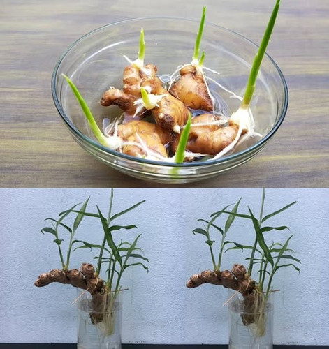 476445342 122188430636062092 2111563828846039266 n.jpg?stp=dst jpg p180x540 tt6& nc cat=100&ccb=1 7&.jpg