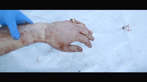 vlcsnap 2025 09 18 00h23m21s593.png