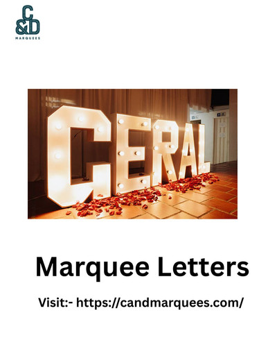 Marquee Letters For Quinceañera.jpg