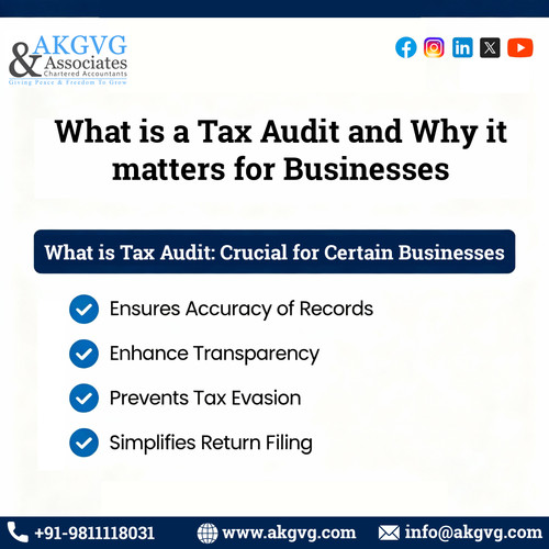 What Is a Tax Audit and Why It Matters for Businesses.jpg