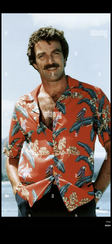 Screenshot 20251027 170230 Gallery