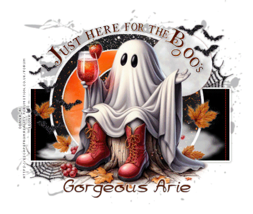 GorgeousArie DEOct25 vi