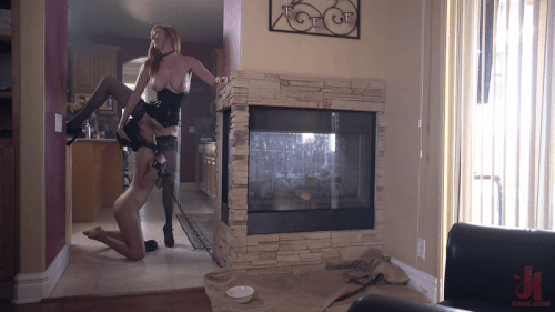 mezgif 7d19700554fff1.gif