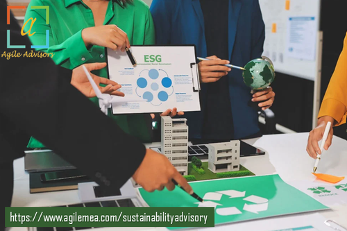 Sustainable Innovation How Consultants Help Companies Adapt.png