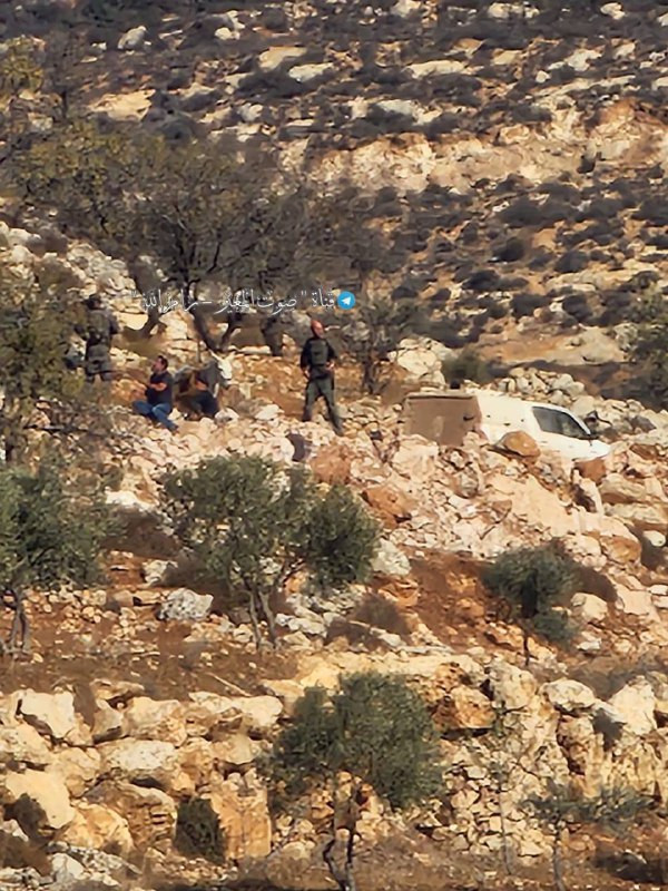 قوات الاحتلال تقتحم قرية المغير شرق رام الله وتحتجز عدداً من المزارعين أثناء قطفهم الزيتون....