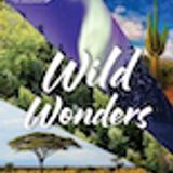 ToD WW 01 Field Guide